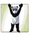 Costume Mascotte Panda T.U. In Busta