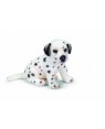 CUCCIOLO DI DALMATA ACCUCCIATO