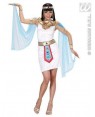 Costume Regina Egiziana S