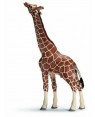 SCHLEICH 14389 giraffa maschio che mangia