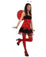 Costume Coccinella M Sexy