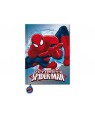 4M DISTRIBUZIONE AST2190 DIARIO 15X20CM PREMIUM SPIDERMAN