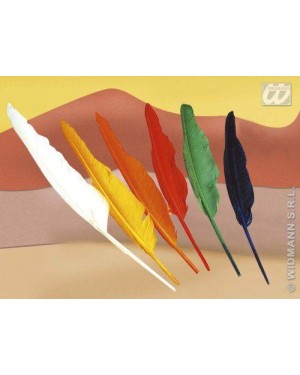 SET 12 PIUME INDIANO