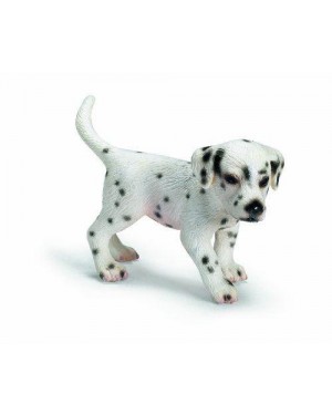 CUCCIOLO DALMATA