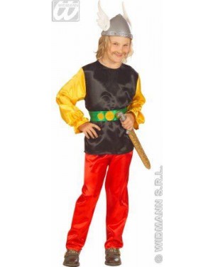 Costume Gaulois Asterix 158Cm In Raso Casa,Pant