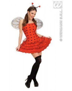 Costume Coccinella S