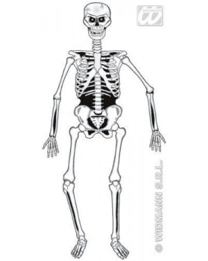 widmann 5220s scheletro pvc movibile cm 140