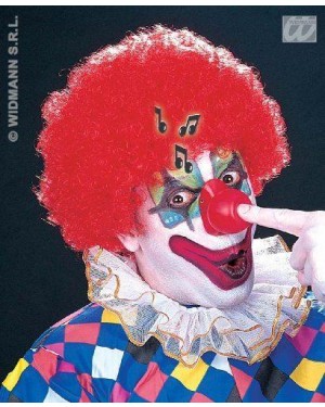 NASI CLOWN SONORI IN VINILE