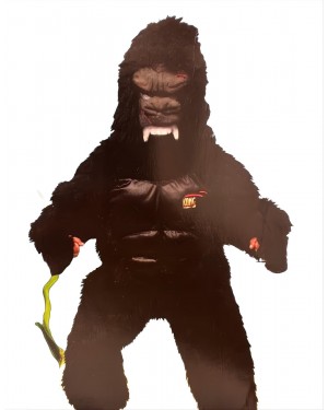 [banned] LIBROLANDIA  costume king kong t2 bambino gorilla