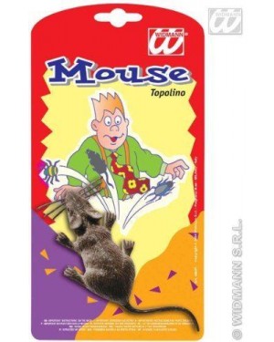 SCHERZO TOPOLINO@