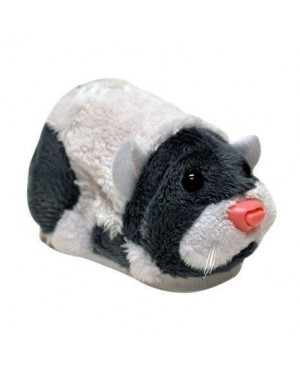 LIBROLANDIA  zhu zhu il criceto