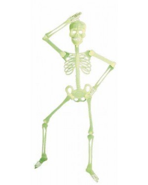 widmann 5219w scheletro fluorescente cm 90 movibile
