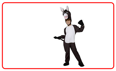 Costumi Asino