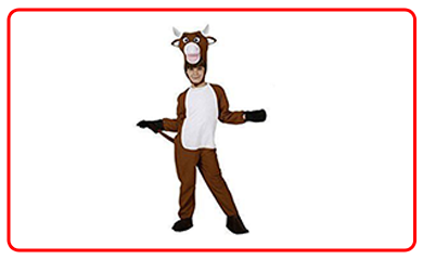 costumi bue